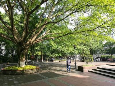 2019年成都農(nóng)業(yè)科技職業(yè)學(xué)院校園地址位于哪里呢,有幾個(gè)校區(qū)?